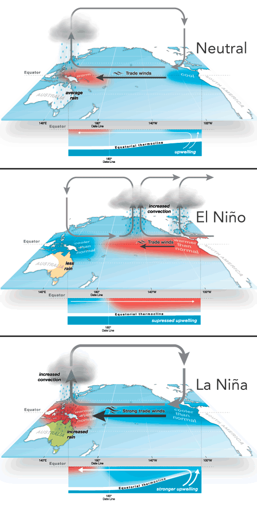 el nino southern oscillations